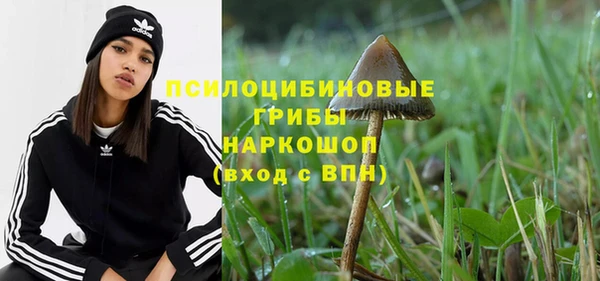 MESCALINE Бородино