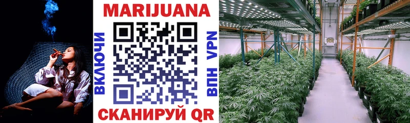 Канабис Ganja Пенза